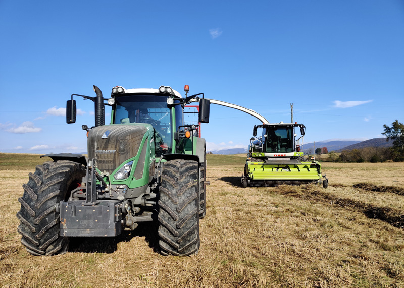 Harvesting switchgrass