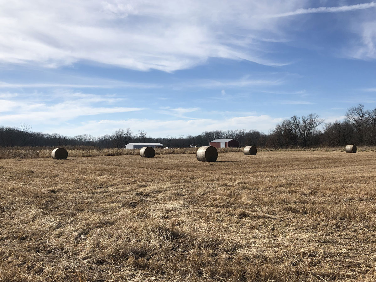 switchgrass bales increase farmer income for marginal areas